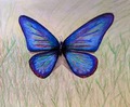 Imagen Mariposa I