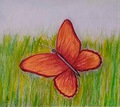 Imagen Mariposa III